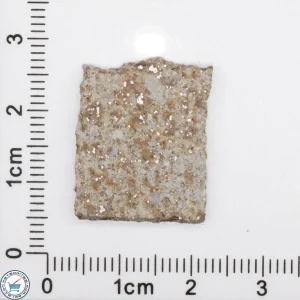 Tank Mountains Meteorite 2.6g Slice