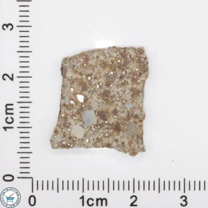 Tank Mountains Meteorite 2.2g Slice