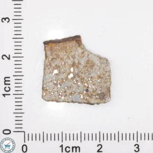 Tank Mountains Meteorite 1.8g Slice
