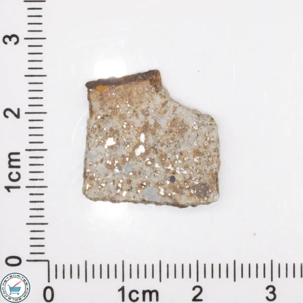 Tank Mountains Meteorite 1.8g Slice