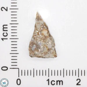 Tank Mountains Meteorite 0.6g Slice