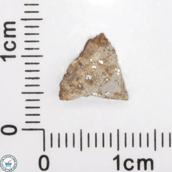 Tank Mountains Meteorite 0.3g Slice