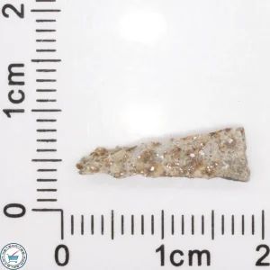 Tank Mountains Meteorite 0.4g Slice