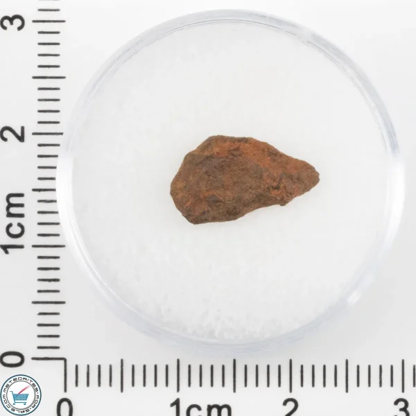 Veevers Iron Meteorite 1.01g