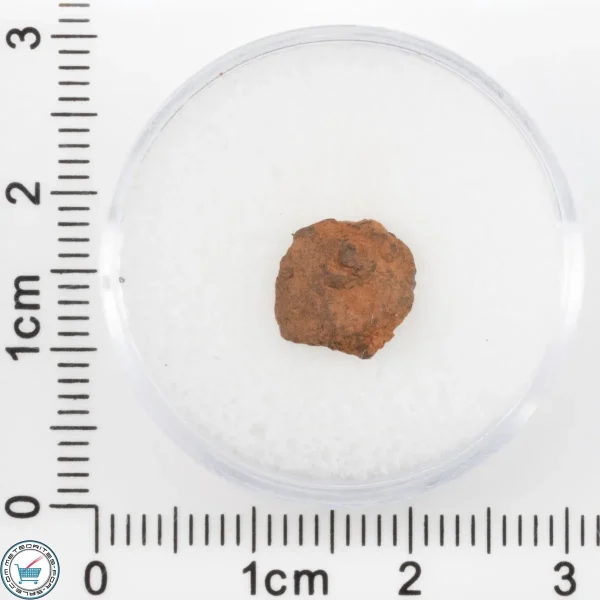 Veevers Iron Meteorite 0.69g