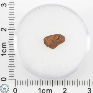 Veevers Iron Meteorite 0.36g