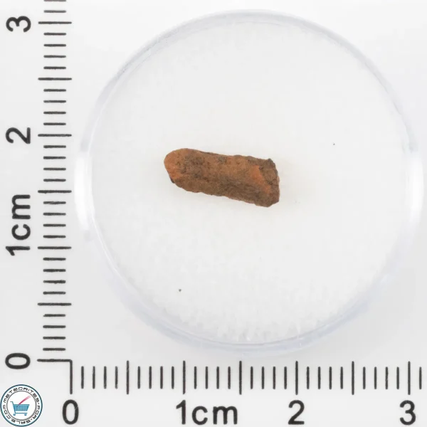 Veevers Iron Meteorite 0.46g