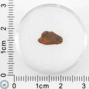 Veevers Iron Meteorite 0.48g