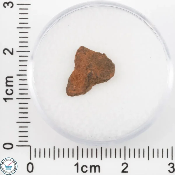 Veevers Iron Meteorite 0.85g