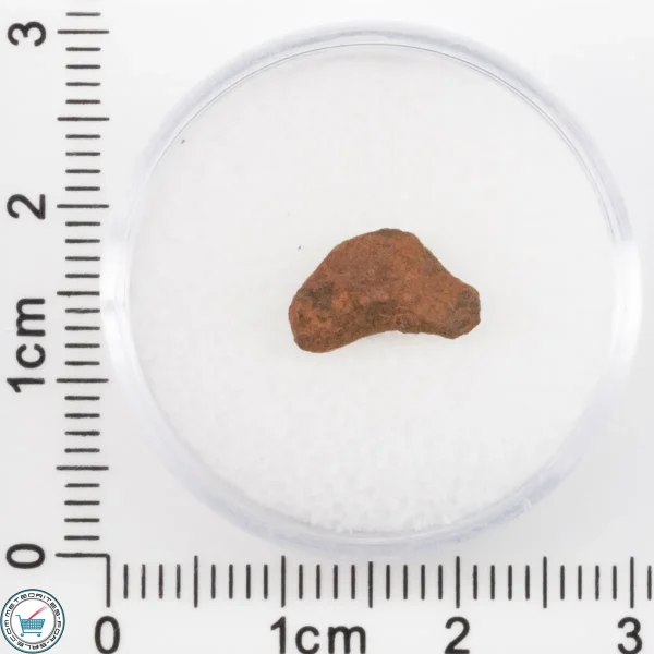 Veevers Iron Meteorite 0.6g