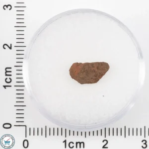 Veevers Iron Meteorite 0.31g