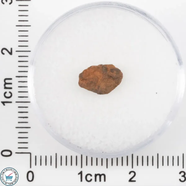 Veevers Iron Meteorite 0.41g