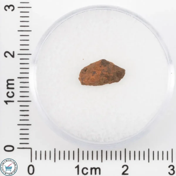 Veevers Iron Meteorite 0.55g