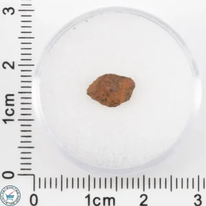 Veevers Iron Meteorite 0.53g