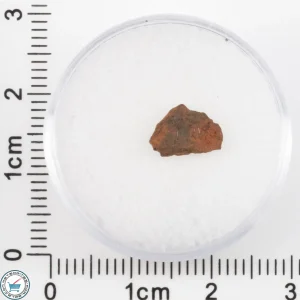 Veevers Iron Meteorite 0.29g