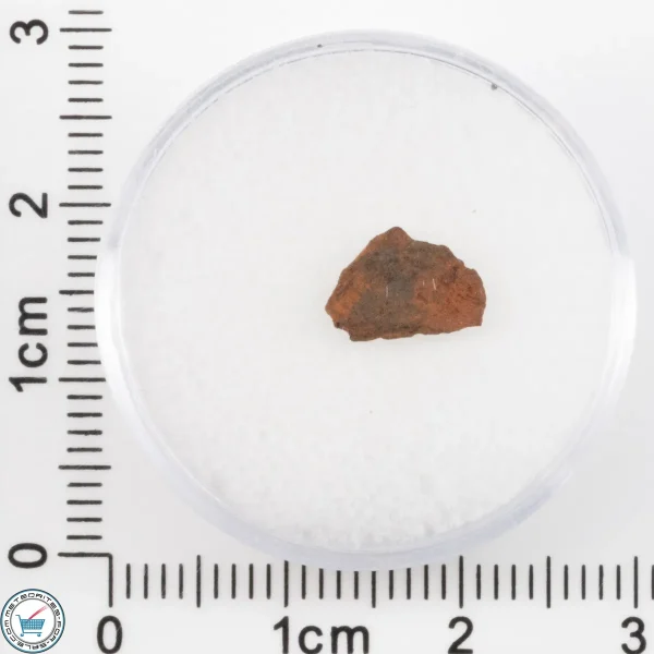 Veevers Iron Meteorite 0.29g