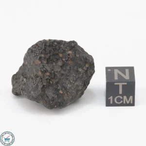 NWA 11343 CV3 Meteorite 15.8g