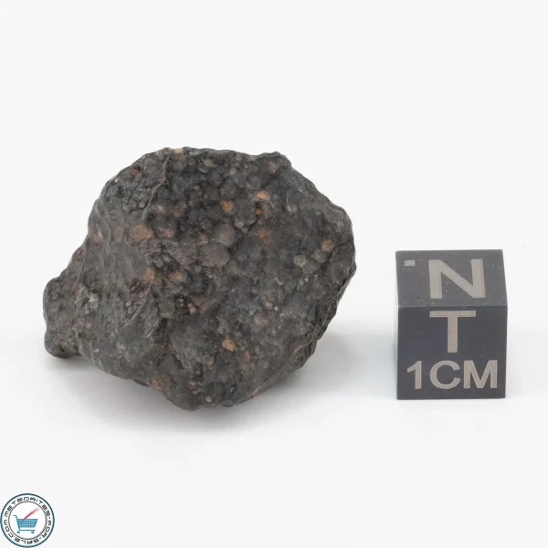 NWA 11343 CV3 Meteorite 15.8g