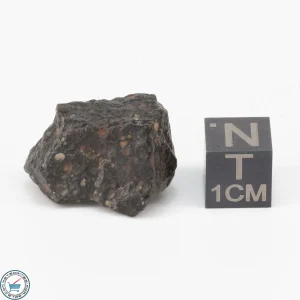 NWA 11343 CV3 Meteorite 6.9g