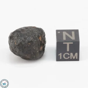 NWA 11343 CV3 Meteorite 6.4g