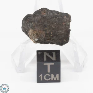 NWA 11343 CV3 Meteorite 4.4g