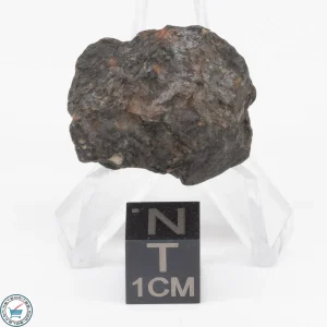 NWA 11343 CV3 Meteorite 8.3g