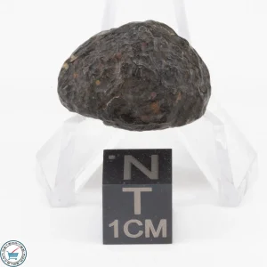 NWA 11343 CV3 Meteorite 6.6g