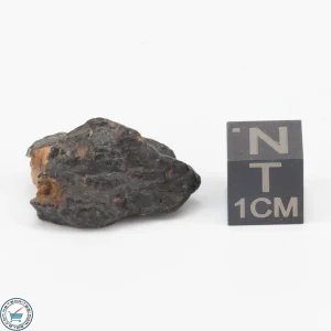 NWA 11343 CV3 Meteorite 5.4g