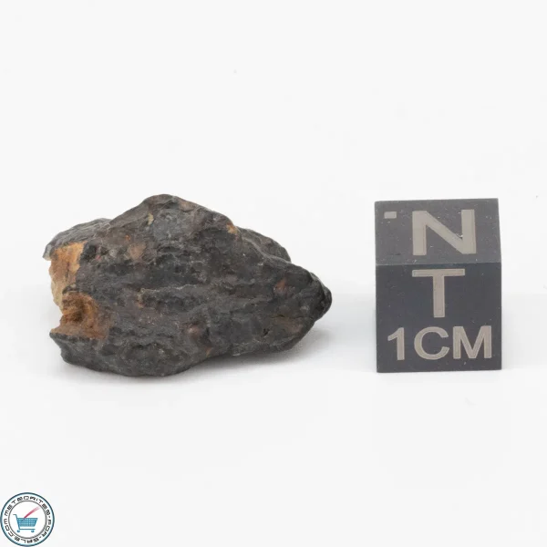 NWA 11343 CV3 Meteorite 5.4g
