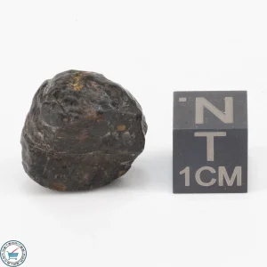 NWA 11343 CV3 Meteorite 5.1g
