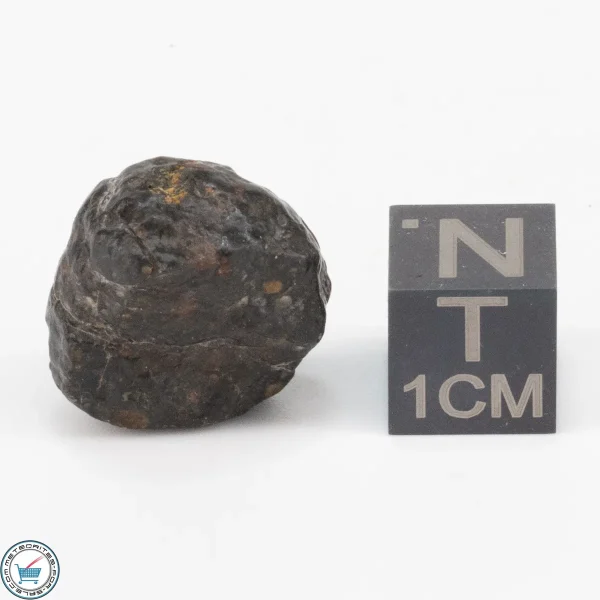 NWA 11343 CV3 Meteorite 5.1g
