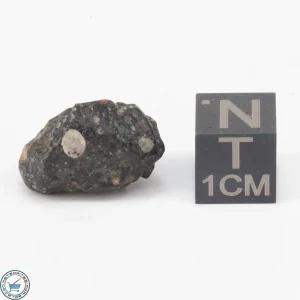 NWA 11343 CV3 Meteorite 3.5g