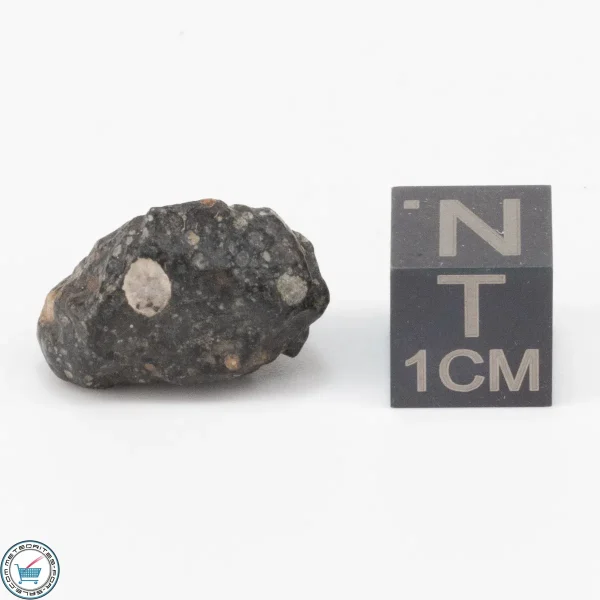 NWA 11343 CV3 Meteorite 3.5g