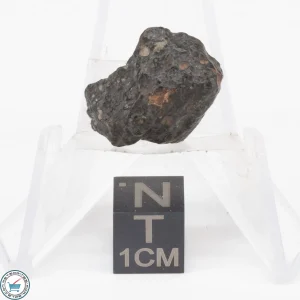 NWA 11343 CV3 Meteorite 3.2g