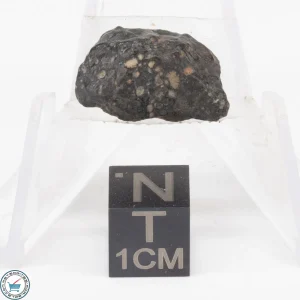 NWA 11343 CV3 Meteorite 2.9g