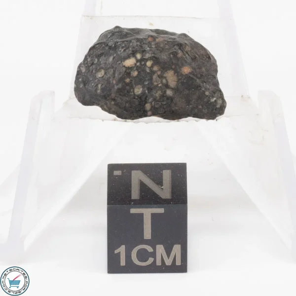 NWA 11343 CV3 Meteorite 2.9g
