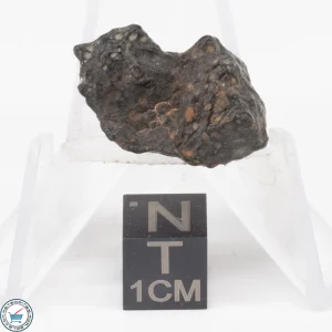 NWA 11343 CV3 Meteorite 4.6g