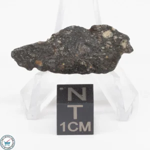 NWA 11343 CV3 Meteorite 4.2g