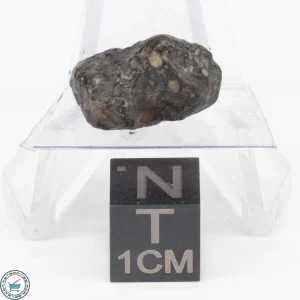 NWA 11343 CV3 Meteorite 2.7g