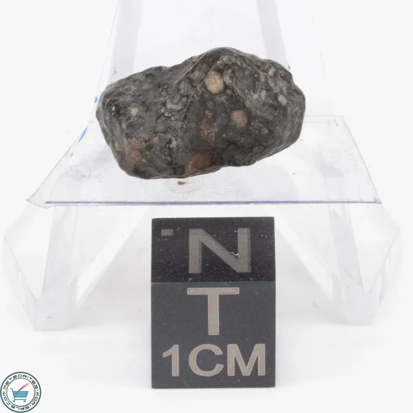 NWA 11343 CV3 Meteorite 2.7g