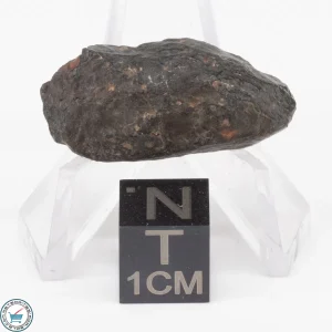 NWA 11343 CV3 Meteorite 5.5g