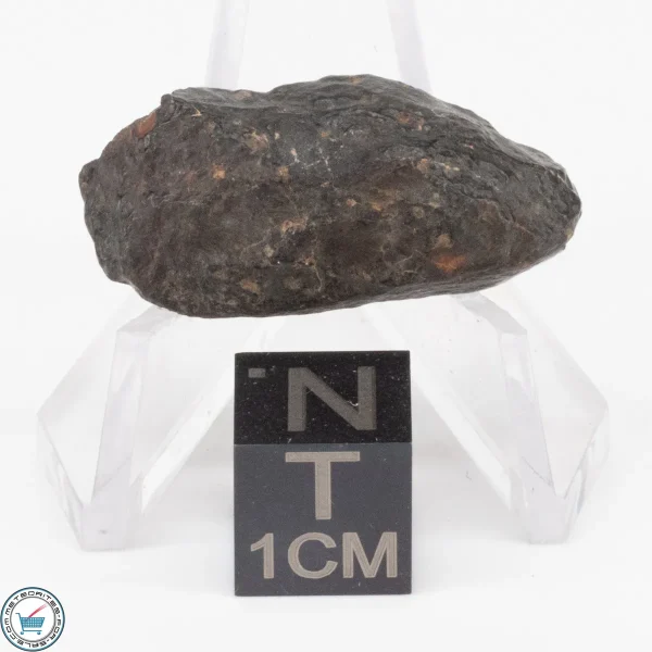 NWA 11343 CV3 Meteorite 5.5g