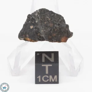 NWA 11343 CV3 Meteorite 2.7g