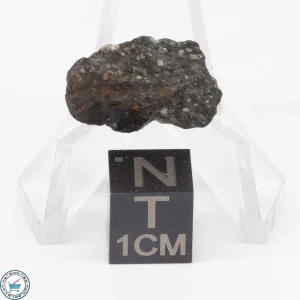 NWA 11343 CV3 Meteorite 1.3g