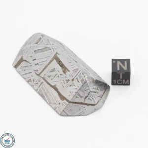 Aletai Meteorite 129.3g Shapes