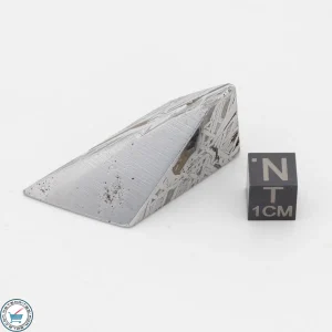 Aletai Meteorite 60.7g Shapes
