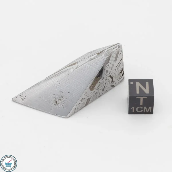 Aletai Meteorite 60.7g Shapes