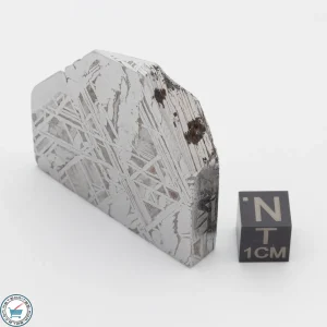 Aletai Meteorite 88.0g Shapes