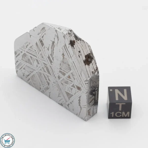 Aletai Meteorite 88.0g Shapes