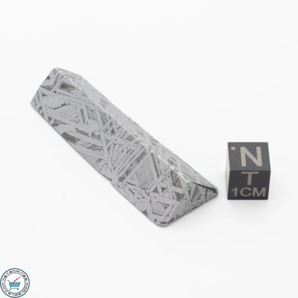 Aletai Meteorite 40.5g Shapes